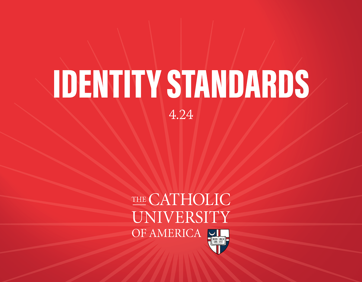 Identity Standards cover image