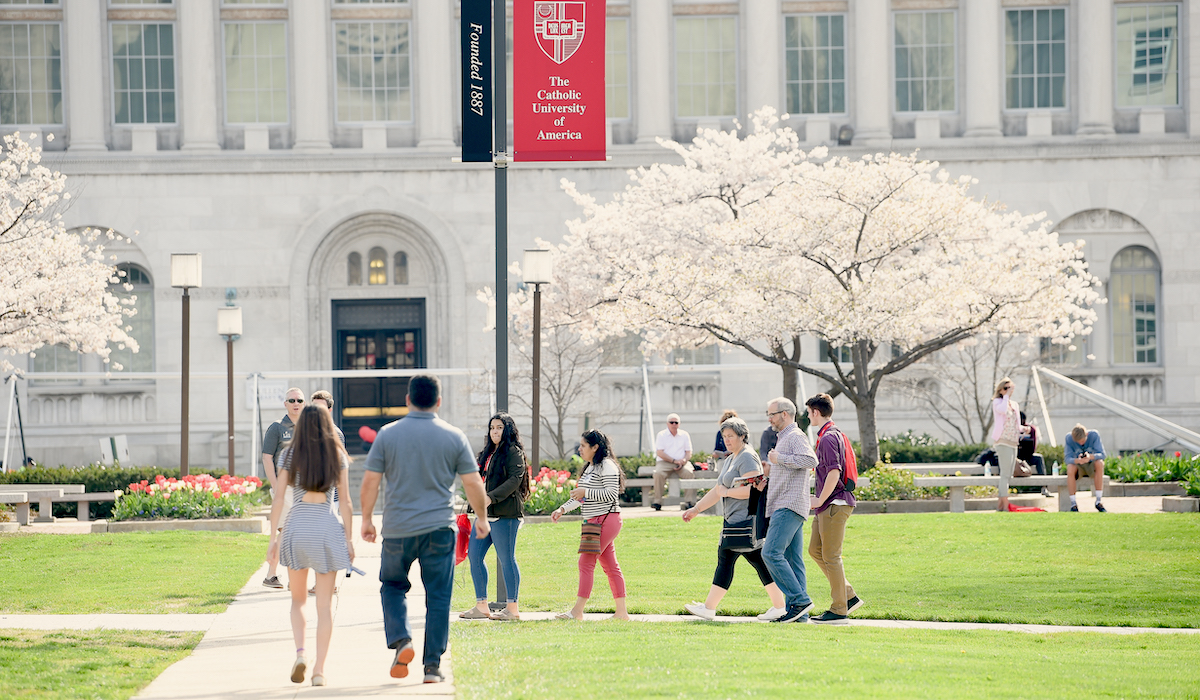 prospective students and families walk around campus amidst cherry blossom trees