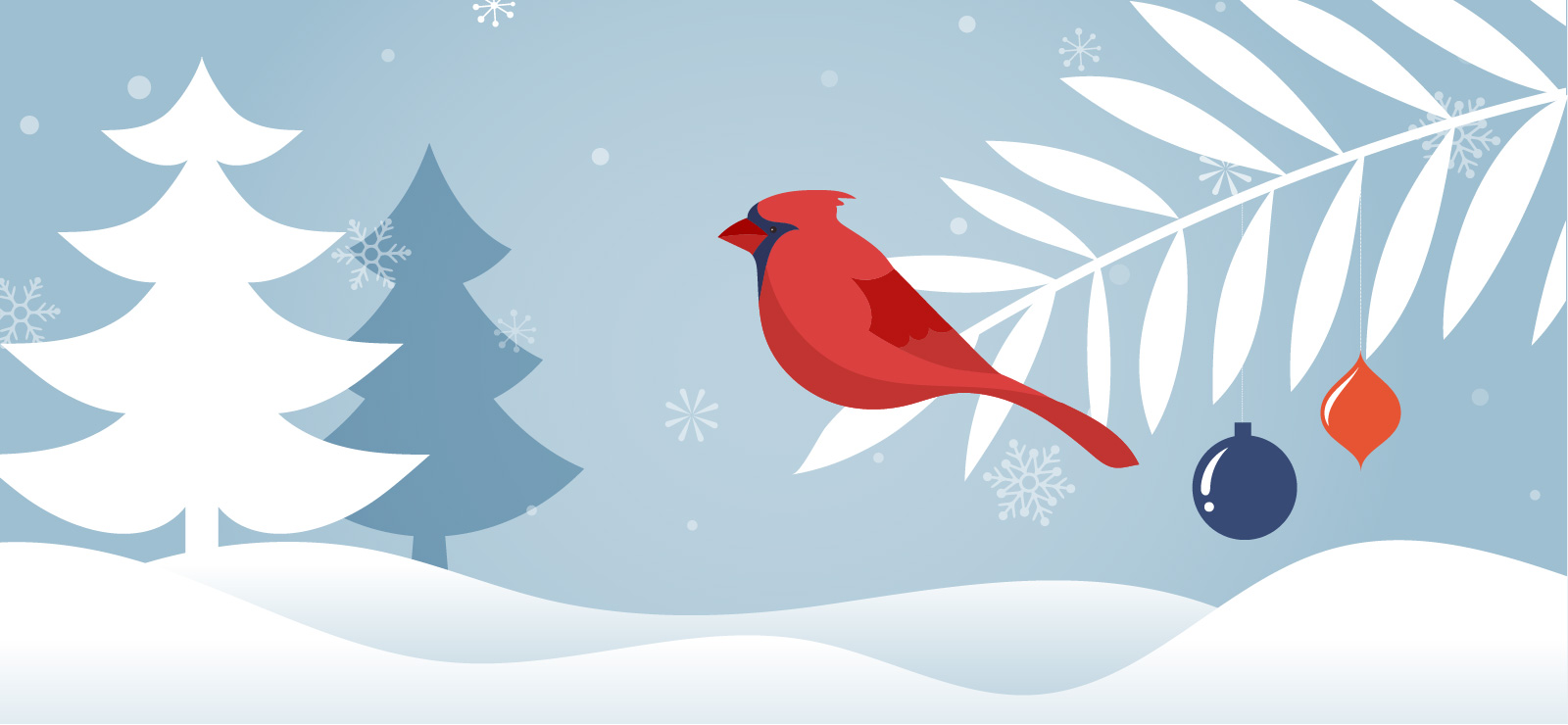 cardinal in a wintery wonderland