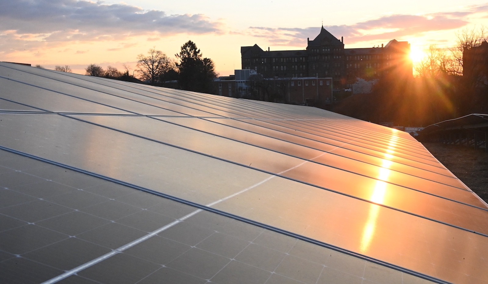 west campus solar array at dawn