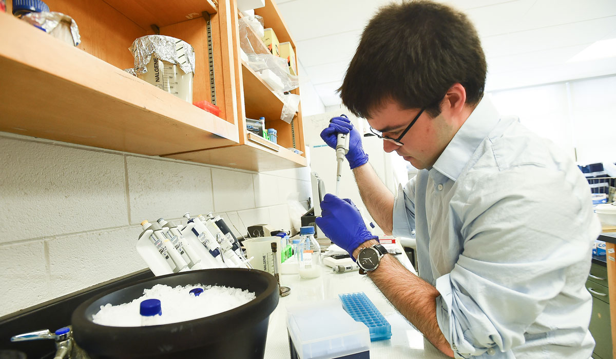 Dante Nicotera using a pipette in a biology laboratory