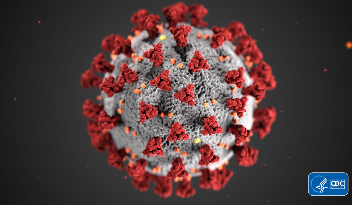 Artistic rendering of coronavirus